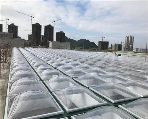 Polycarbonate skylight07